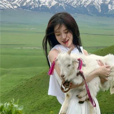 骑士的漫游